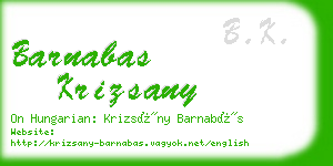 barnabas krizsany business card